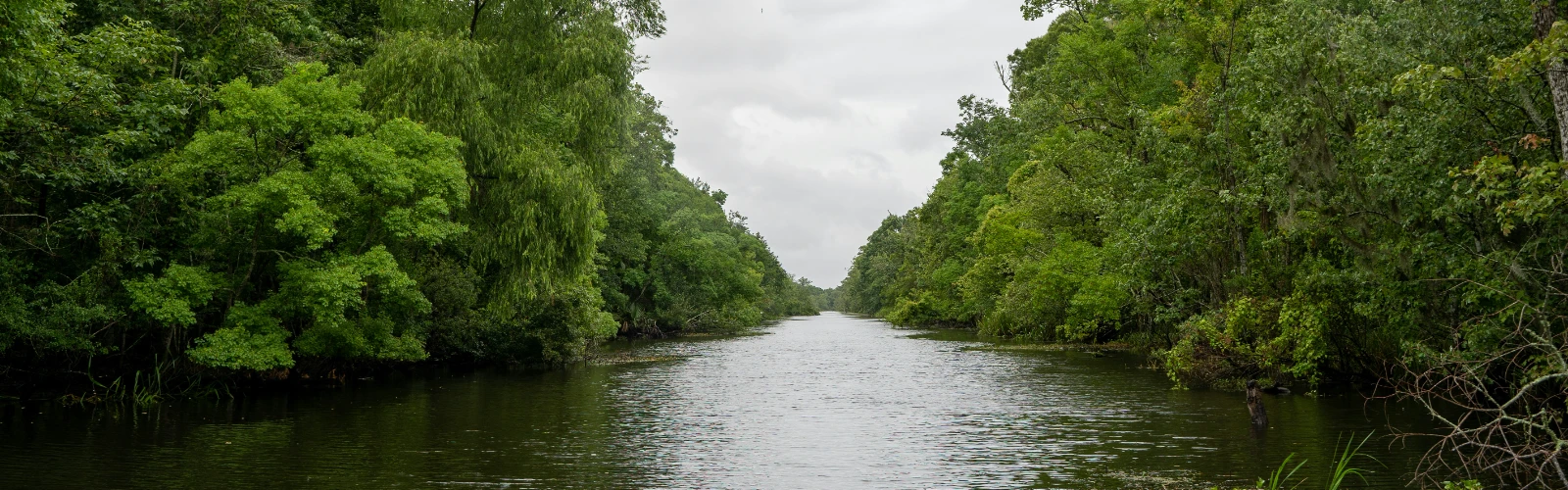 Things to do In Scott LA