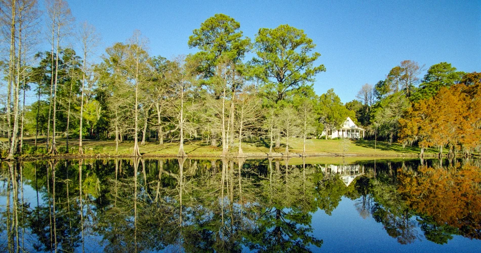 Best 6 Things to Do in Scotts LA